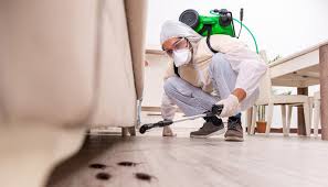 Emergency Pest Control in Lowellville, OH